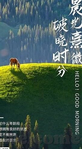 九游·体育登录入口-畅游九游·体育，解锁精彩体育盛宴