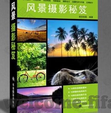 足球竞猜即时比分-足球竞猜即时比分，一场数据与心跳的双重盛宴